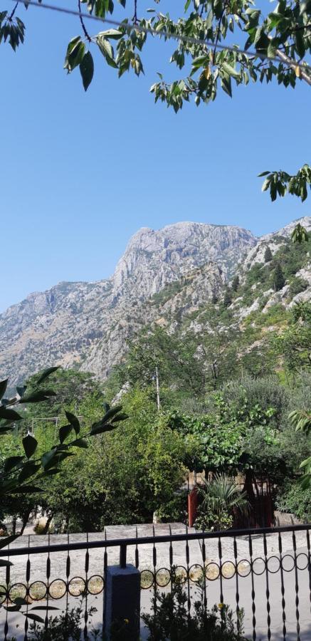 Apartment Sali Kotor Exteriér fotografie
